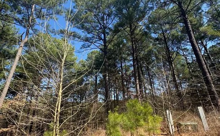 Pictures of Land property located at 87 Blue Maple Trail, Broken Bow, OK 74728 for sales - image #1