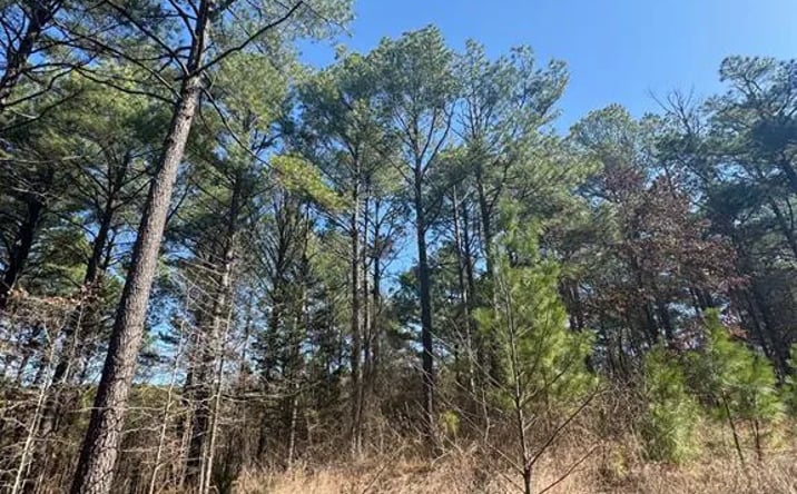 Pictures of Land property located at 49 Blue Maple Trail, Broken Bow, OK 74728 for sales - image #1