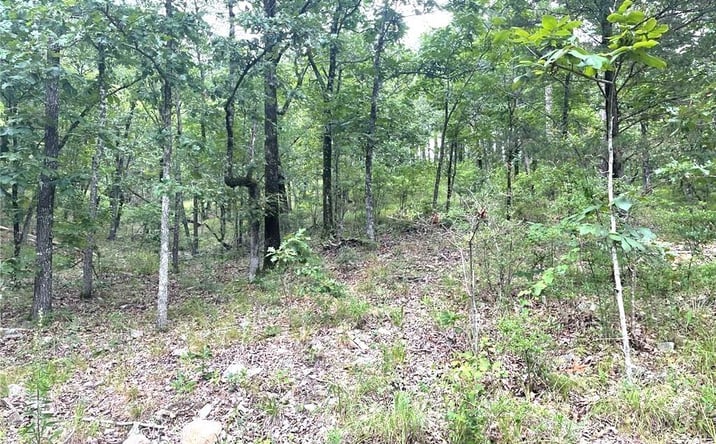 Pictures of Land property located at 143 Western Cedar Trail, Broken Bow, OK 74728 for sales - image #1