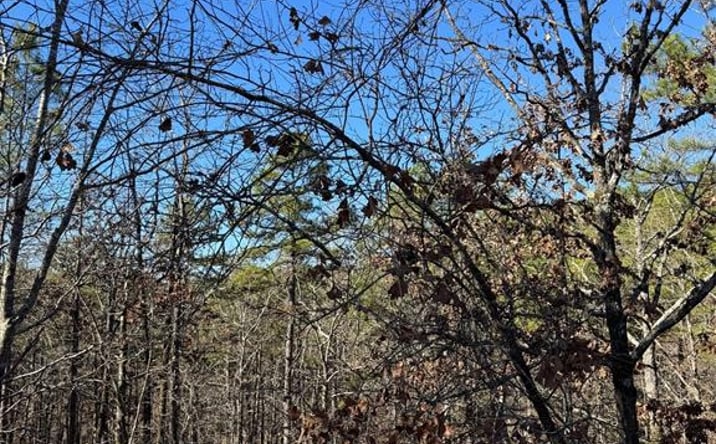 Pictures of Land property located at 43 Western Maple Court, Broken Bow, OK 74728 for sales - image #1