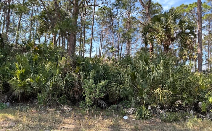 Pictures of Land property located at 747 Scott Avenue SW, Palm Bay, FL 32908 for sales - image #1