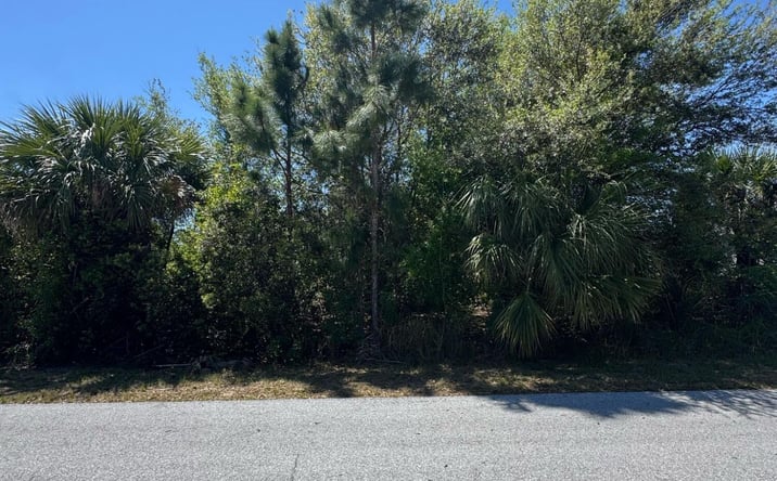 Pictures of Land property located at 743 Darby Avenue SW, Palm Bay, FL 32908 for sales - image #1