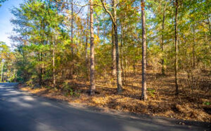 Pictures of Land property located at 0 Forest Hill & East Rollingwood, Aiken, SC 29801 for sales - image #1
