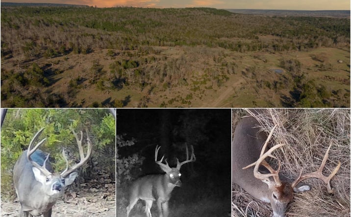 Pictures of Land property located at Miller-Moyers Road, Moyers, OK 74557 for sales - image #1