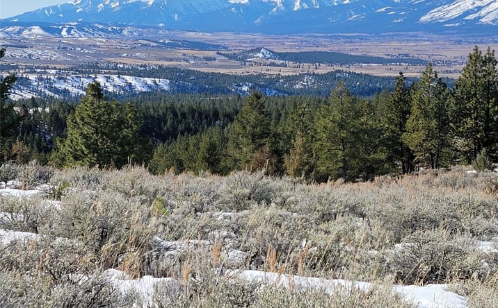 Pictures of Land property located at Lot B Sapphire Ranch Trail, Corvallis, MT 59828 for sales - image #1