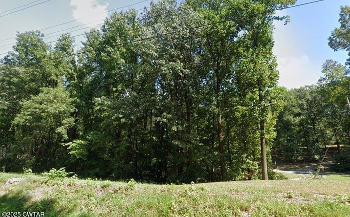 Pictures of Land property located at 0 Asbury Road, Ripley, TN 38063 for sales - image #1