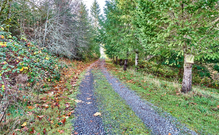 image of property at 35517 S AQUA SPRINGS RD Molalla OR 97038-7407