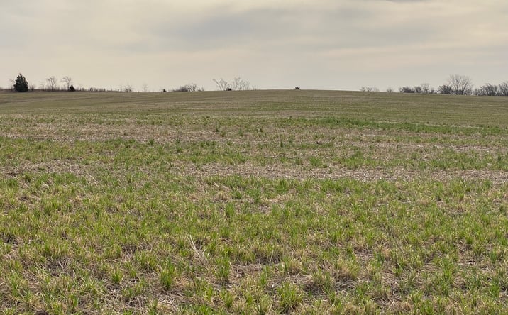 Pictures of Land property located at Northwest Missouri East of Ford City, Albany, MO 64402 for sales - image #1