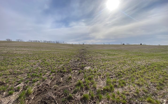 Pictures of Land property located at East of Ford City, King City, MO 64463 for sales - image #1