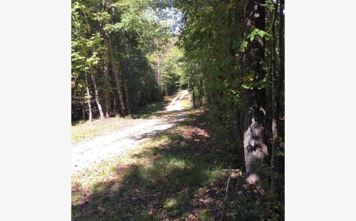 Pictures of Land property located at Terrell St., Mebane, NC 27302 for sales - image #1