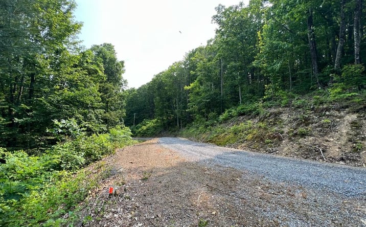 Pictures of Land property located at Lot 29 Katy Drive, White Sulphur Springs, WV 24986 for sales - image #1