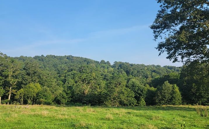 Pictures of Land property located at 0 Quinnwood - Nutterville Road, Nallen, WV 26680 for sales - image #1