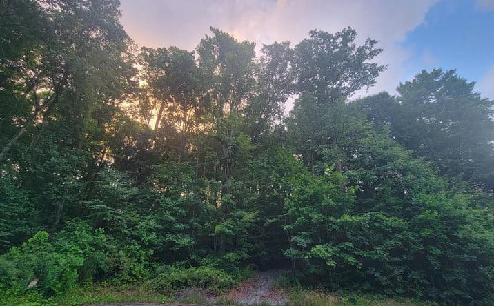 Pictures of Land, Multifamily property located at 0 Cranberry Pointe Way # 40, Beckley, WV 25801 for sales - image #1