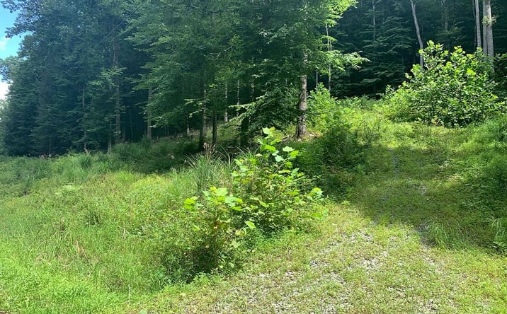 Pictures of Land, Multifamily property located at 00 Mountain Laurel Road, Summersville, WV 26651 for sales - image #1