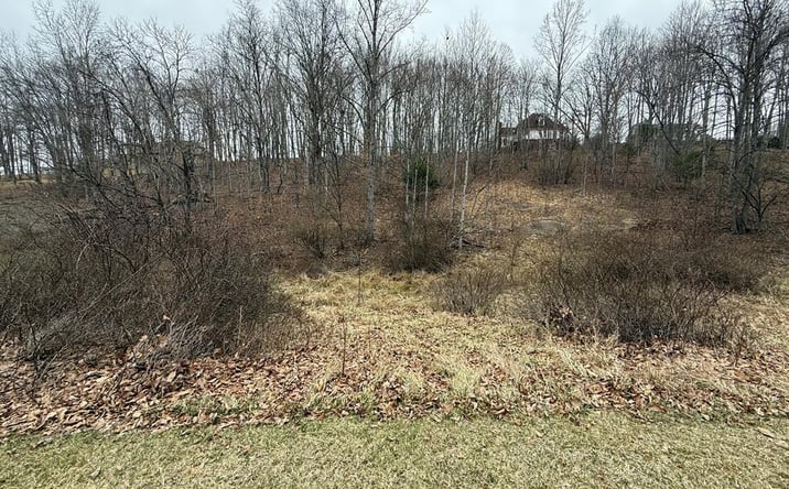 Pictures of Land property located at Lot 626 Quail Valley Dr., Princeton, WV 24740 for sales - image #1
