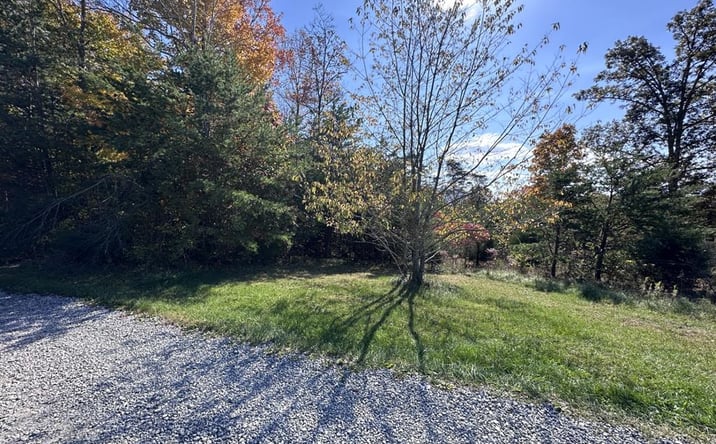 Pictures of Land property located at Lot 52 Bee Tree Dr., Peterstown, WV 24963 for sales - image #1