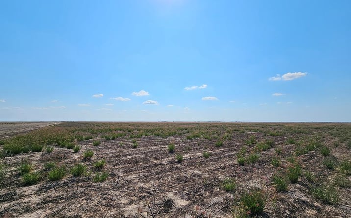 Pictures of Land, Multifamily property located at N/A Turner Rd., Lyford, TX 78569 for sales - image #1