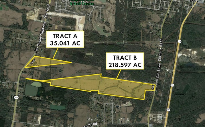 Pictures of Land property located at 17878 Old Scenic Hwy, Zachary, LA 70791 for sales - image #1