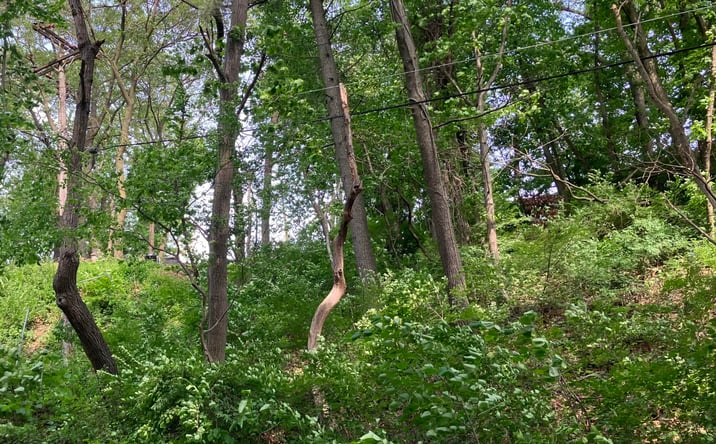 Pictures of Land property located at 98 Ogden Road, Ogden Dunes, IN 46368 for sales - image #1