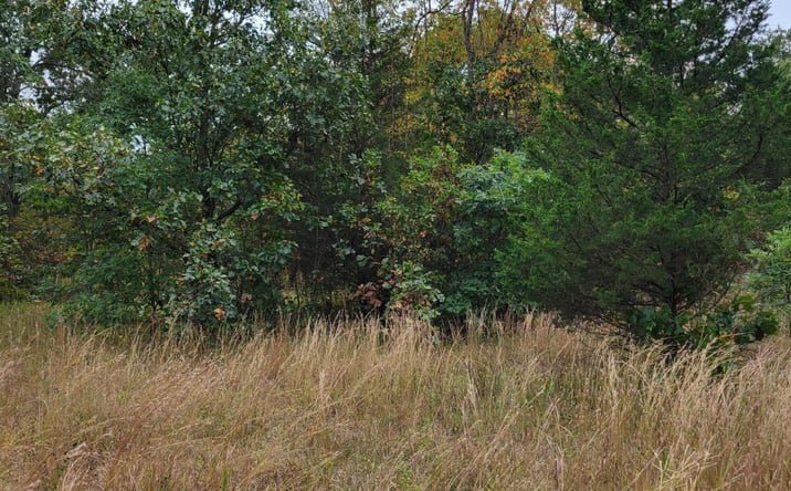 Pictures of Land property located at Lot 2 N 100 E, Lake Village, IN 46349 for sales - image #1
