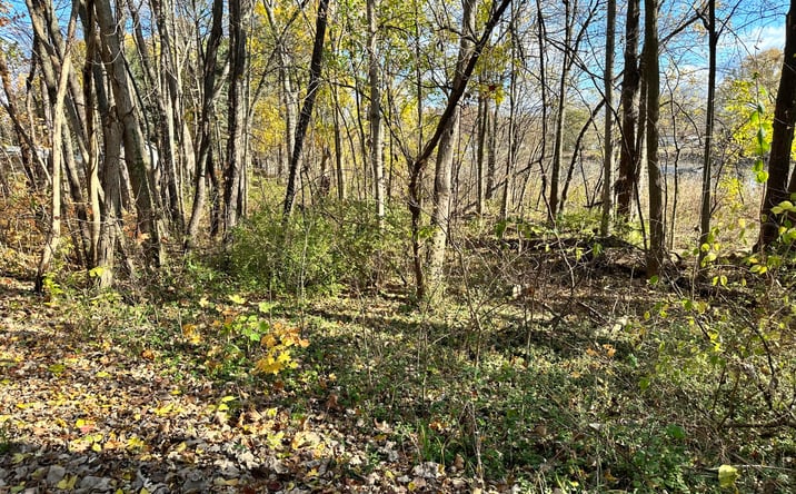 Pictures of Land property located at N Hudson Boulevard, New Carlisle, IN 46552 for sales - image #1