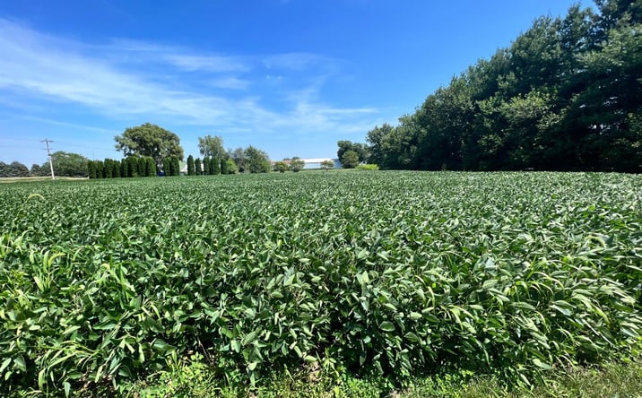 Pictures of Land property located at 0-Lot 2 Owen Street, Rensselaer, IN 47978 for sales - image #1