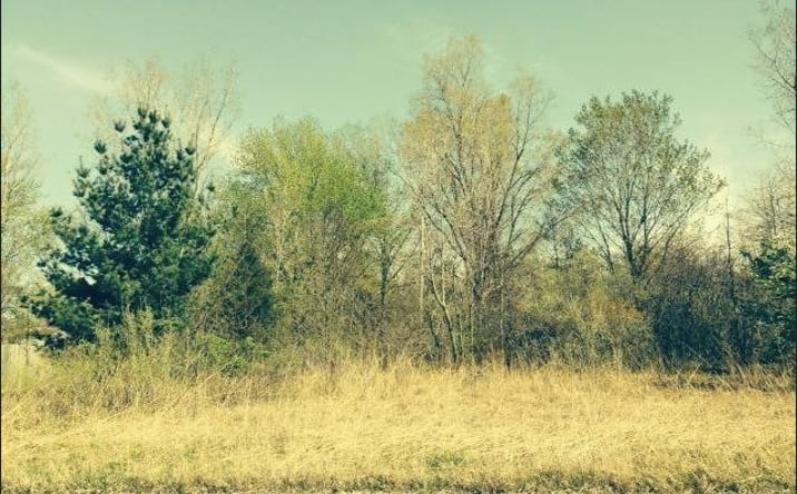 Pictures of Land property located at 0 Springland Avenue, Michigan City, IN 46360 for sales - image #1