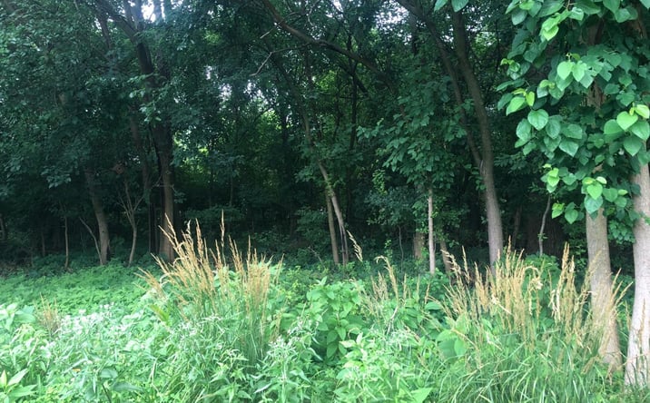 Pictures of Land property located at 1703 S Fairbanks Street, Griffith, IN 46319 for sales - image #1