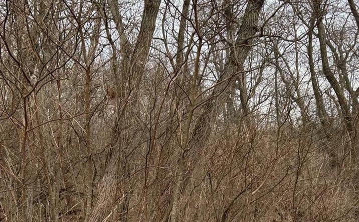 Pictures of Land property located at 0 N 381 W, Lake Village, IN 46349 for sales - image #1