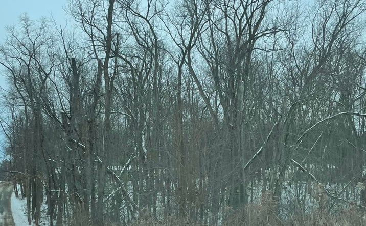 Pictures of Land property located at 0 N Holling Blvd, Hudson Lake, IN 46552 for sales - image #1