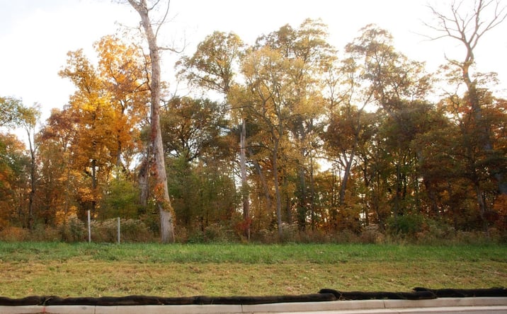Pictures of Land property located at 3818-lot 82 167th Avenue, Lowell, IN 46356 for sales - image #1