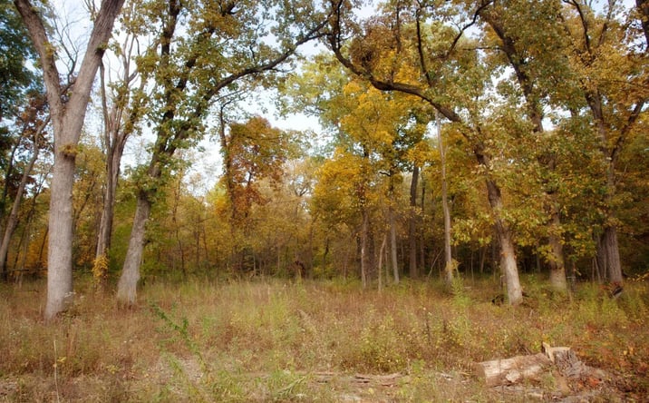 Pictures of Land property located at 3820-lot 83 167th Avenue, Lowell, IN 46356 for sales - image #1