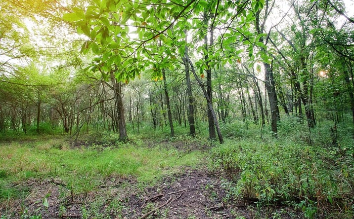 Pictures of Land property located at 16611-lot 77 Noble Street, Lowell, IN 46356 for sales - image #1