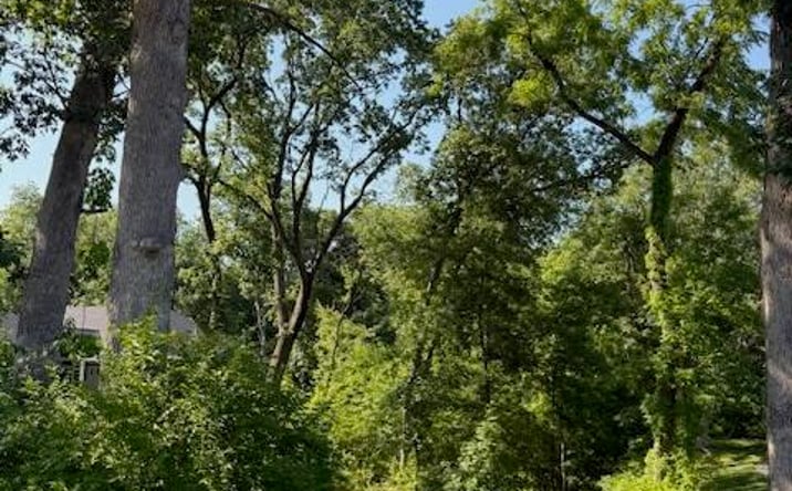 Pictures of Land property located at 1150 Greenview Place, Crown Point, IN 46307 for sales - image #1