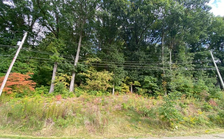 Pictures of Land property located at 0 Lynnwood Drive, Minerva, OH 44657 for sales - image #1
