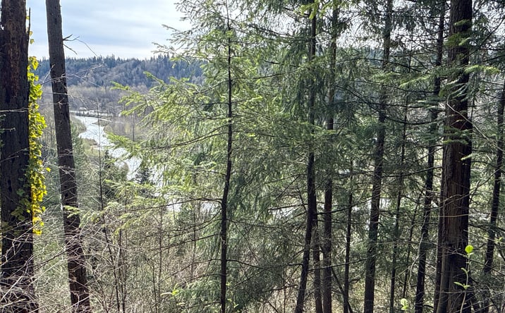 Pictures of Land property located at 149 XX 175th Ave SE, Renton, WA 98059 for sales - image #1