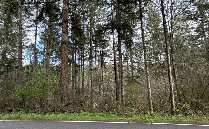 Pictures of Land property located at 17636 E Clear Lake Blvd SE, Yelm, WA 98597 for sales - image #1