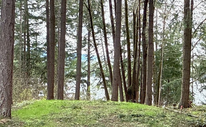 Pictures of Land property located at 18243 SE Suncrest Ct, Yelm, WA 98597 for sales - image #1
