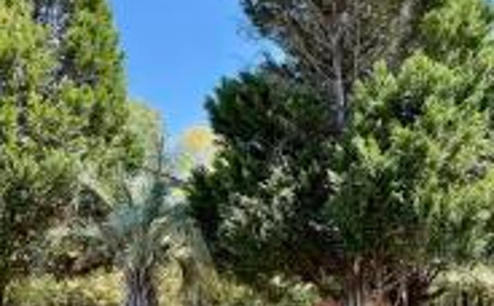 Pictures of Land property located at 2918 Loren Street, Aiken, SC 29801 for sales - image #1