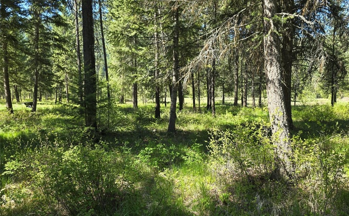 Pictures of Land property located at NH Fairview Drive, Saint Regis, MT 59866 for sales - image #1