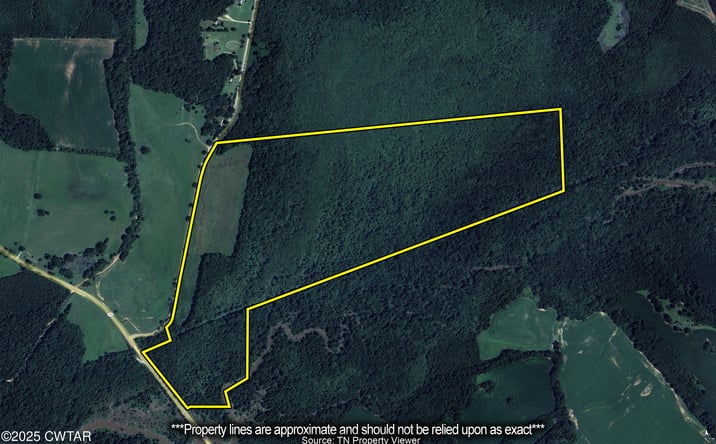 Pictures of Land property located at Lavinia Rd, Medina, TN 38355 for sales - image #1