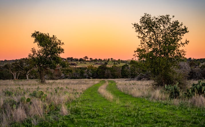 Pictures of Land property located at FM2843, Salado, TX 76571 for sales - image #1