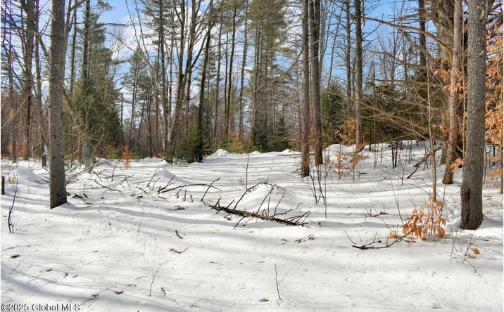 Pictures of Land property located at L95 Highview Lane Lot 11, Johnsburg, NY 12886 for sales - image #1