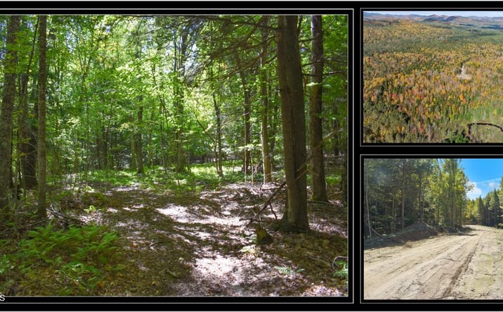 Pictures of Land property located at 98 Carriage Knoll Road, Chestertown, NY 12817 for sales - image #1