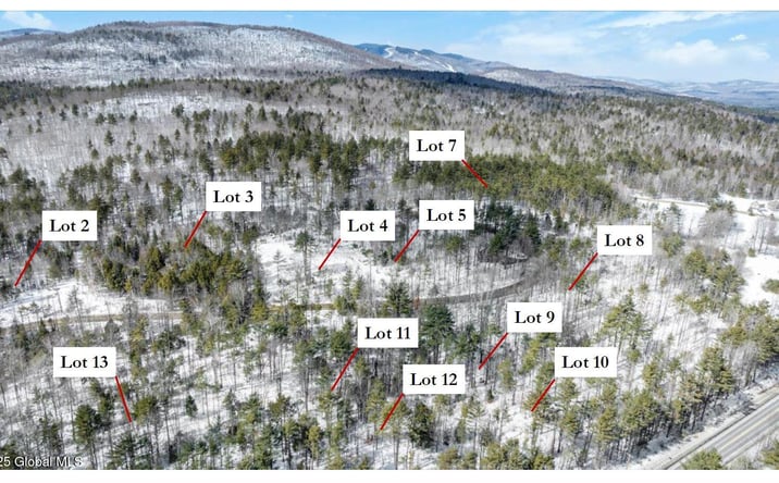 Pictures of Land property located at L89 Highview Lane Lot 5, Johnsburg, NY 12886 for sales - image #1