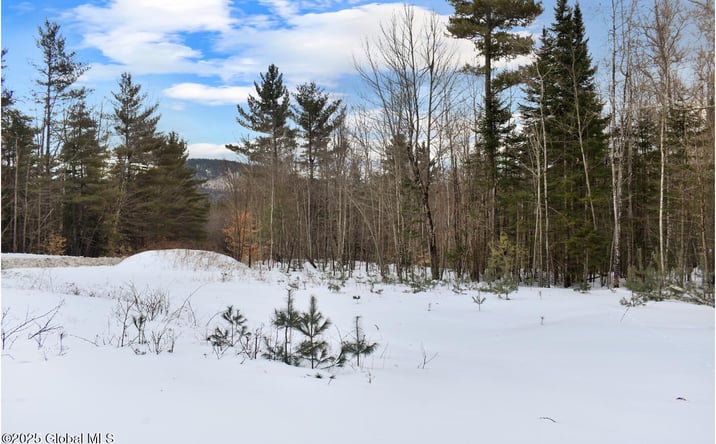 Pictures of Land property located at L88 Highview Lane Lot 4, Johnsburg, NY 12886 for sales - image #1