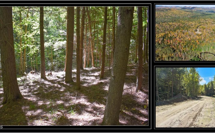 Pictures of Land property located at 106 Carriage Knoll Road, Chestertown, NY 12817 for sales - image #1