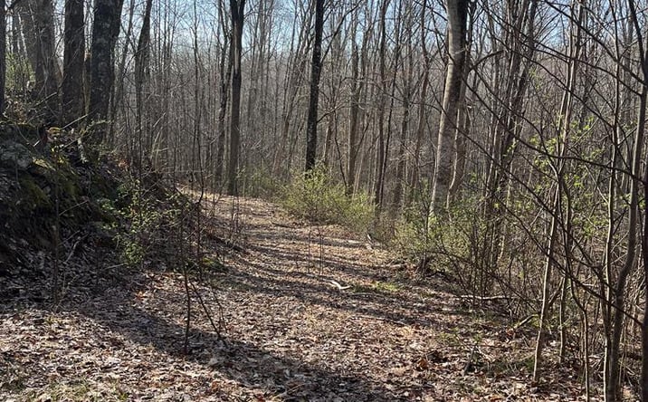Pictures of Land property located at 0 Myron Court, Shady Spring, WV 25918 for sales - image #1