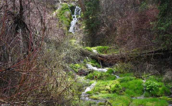 Pictures of Land property located at NHN Camas Creek Road, Potomac, MT 59823 for sales - image #1