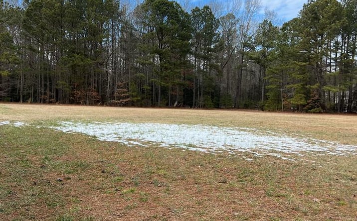 Pictures of Land property located at 00 Moores Ferry Rd, Skippers, VA 23879 for sales - image #1